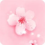 菠萝蜜视频安装包免费下载
