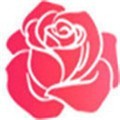 yellow免费观看完整版直播