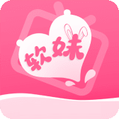 91轻量版下载入口