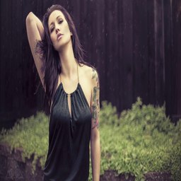 探秘：我想钻进你的小花园里，发现生活的诗意与美好