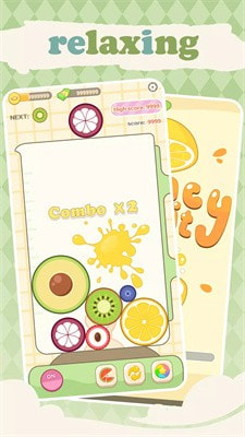 弹力水果2048Bouncy Fruit 20481