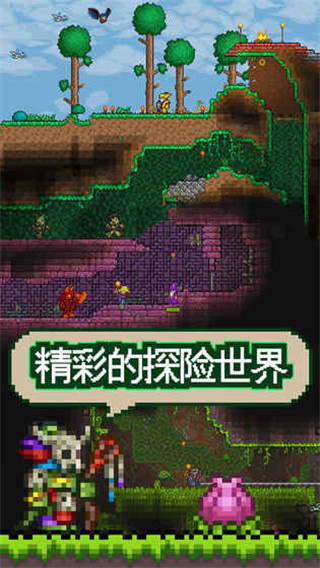 泰拉瑞亚汉化版(Terraria)2